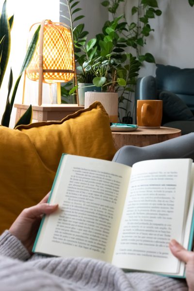 POV of young woman relaxing at home reading a book lying on sofa. Lifesyle concept.